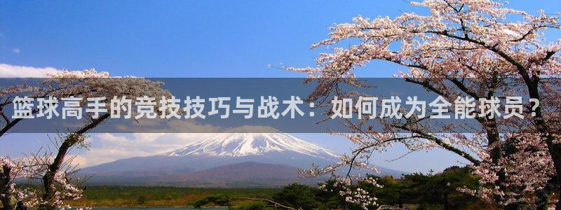 篮球高手的竞技技巧与战术：如何成为全能球员？