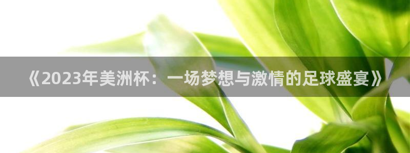《2023年美洲杯：一场梦想与激情的足球盛宴》