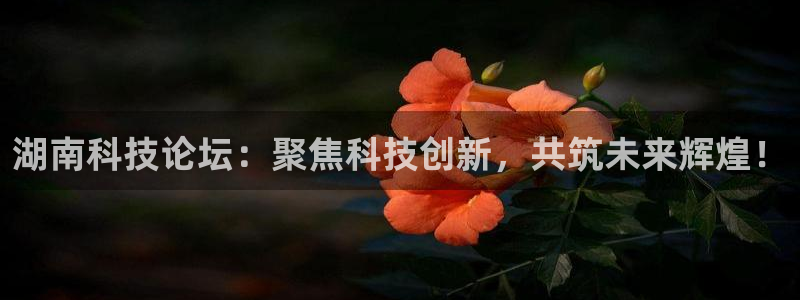 湖南科技论坛：聚焦科技创新，共筑未来辉煌！