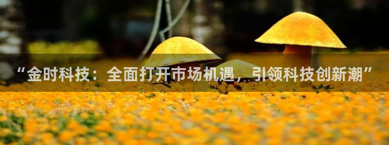 “金时科技：全面打开市场机遇，引领科技创新潮”