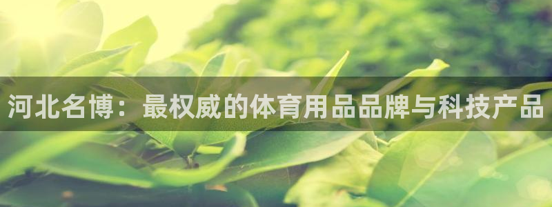 河北名博：最权威的体育用品品牌与科技产品