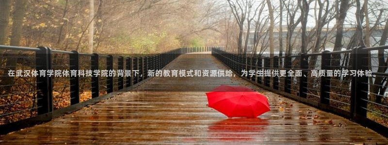 在武汉体育学院体育科技学院的背景下，新的教育模式和资源供给，为学生提供更全面、高质量的学习体验。