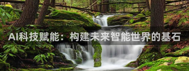 AI科技赋能：构建未来智能世界的基石