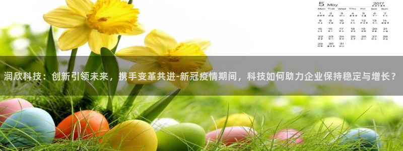 润欣科技：创新引领未来，携手变革共进-新冠疫情期间，科技如何助力企业保持稳定与增长？