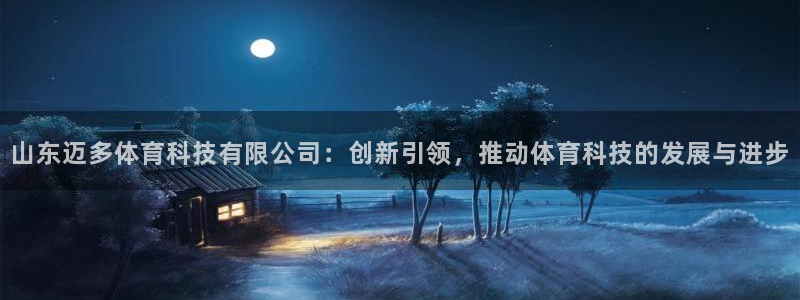 山东迈多体育科技有限公司：创新引领，推动体育科技的发展与进步