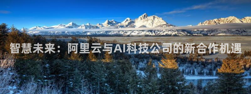 智慧未来：阿里云与AI科技公司的新合作机遇