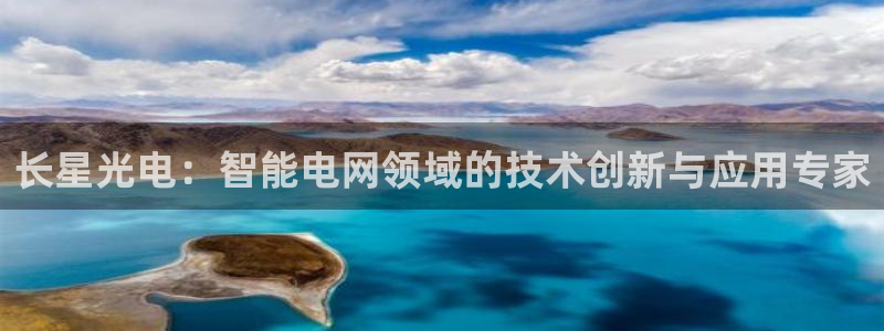 长星光电：智能电网领域的技术创新与应用专家