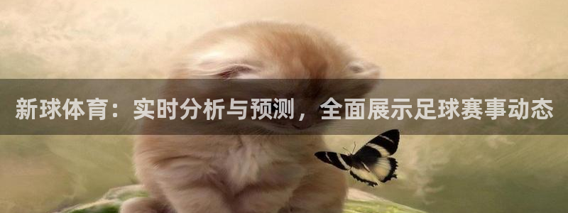 新球体育：实时分析与预测，全面展示足球赛事动态