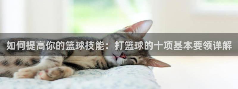 如何提高你的篮球技能：打篮球的十项基本要领详解