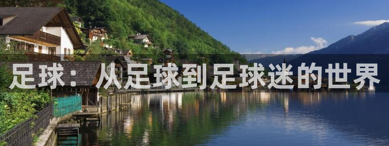 足球：从足球到足球迷的世界