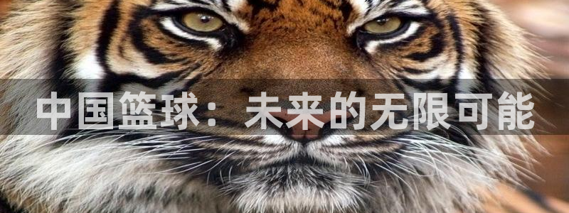 中国篮球：未来的无限可能