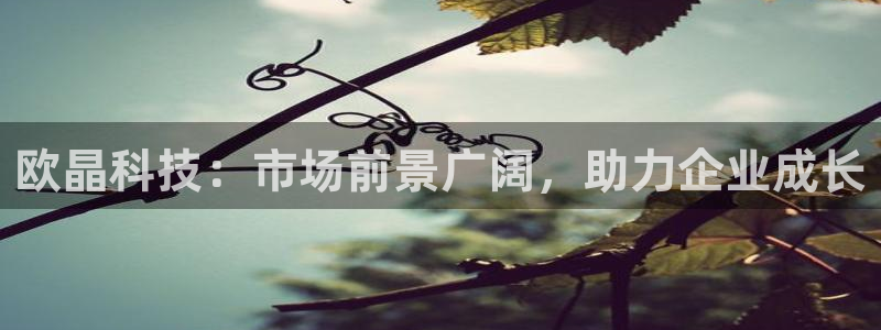 欧晶科技：市场前景广阔，助力企业成长