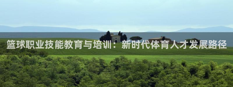 篮球职业技能教育与培训：新时代体育人才发展路径