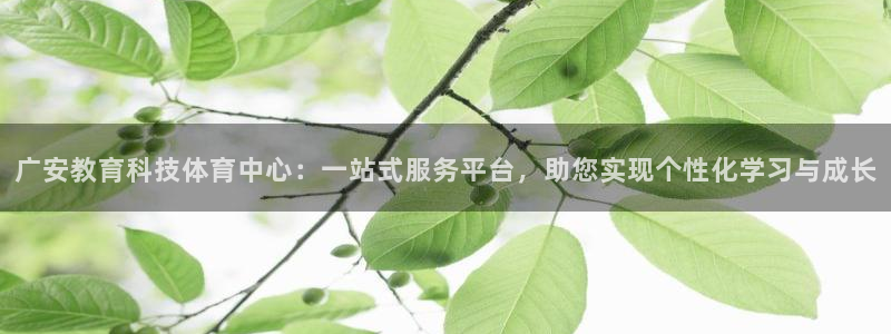 广安教育科技体育中心：一站式服务平台，助您实现个性化学习与成长