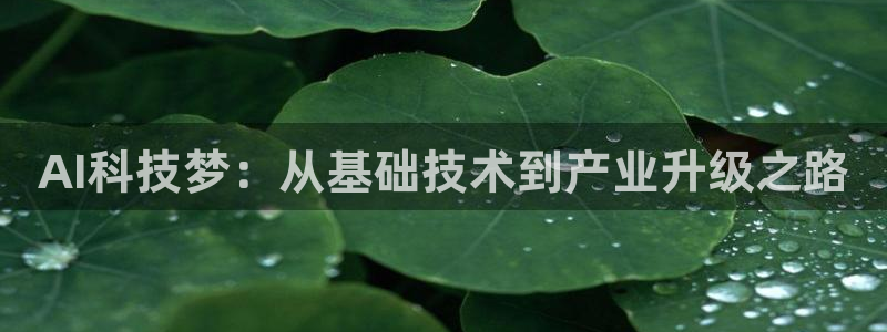 AI科技梦：从基础技术到产业升级之路