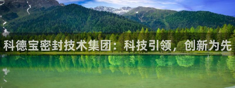 科德宝密封技术集团：科技引领，创新为先