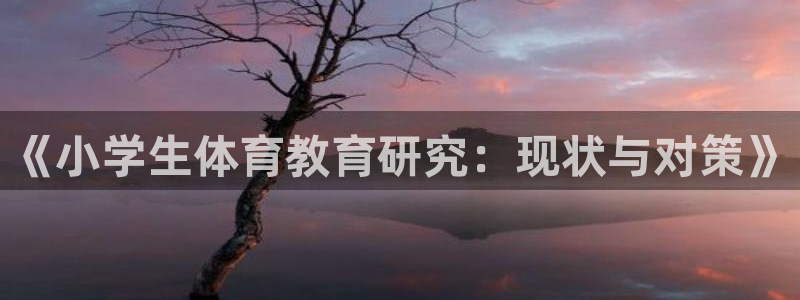 《小学生体育教育研究：现状与对策》