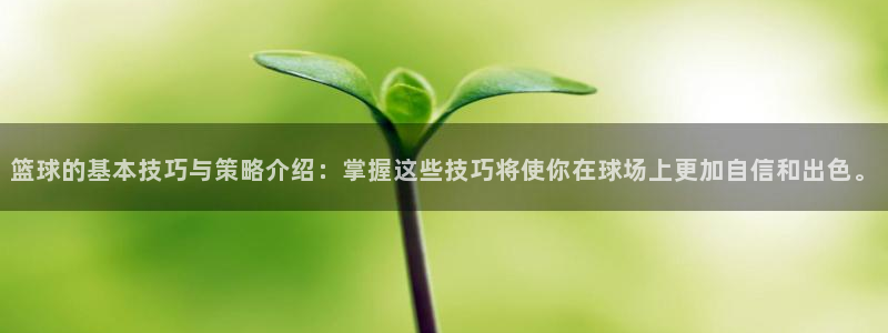 篮球的基本技巧与策略介绍：掌握这些技巧将使你在球场上更加自信和出色。