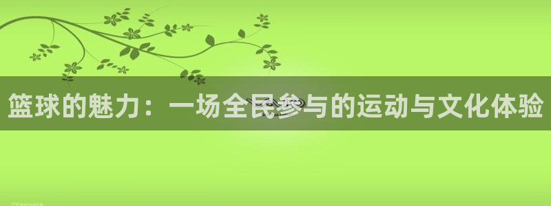 篮球的魅力：一场全民参与的运动与文化体验