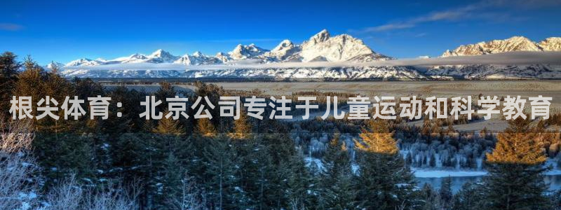 根尖体育：北京公司专注于儿童运动和科学教育