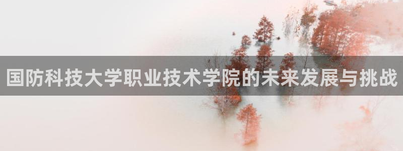 国防科技大学职业技术学院的未来发展与挑战
