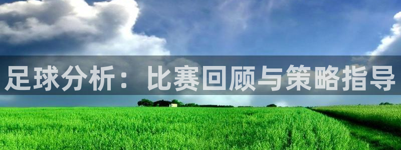 足球分析：比赛回顾与策略指导