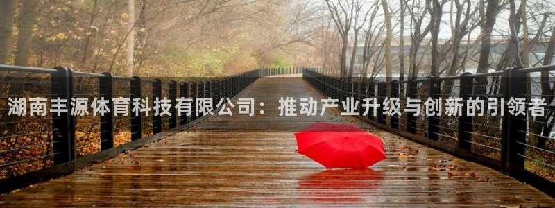 湖南丰源体育科技有限公司：推动产业升级与创新的引领者