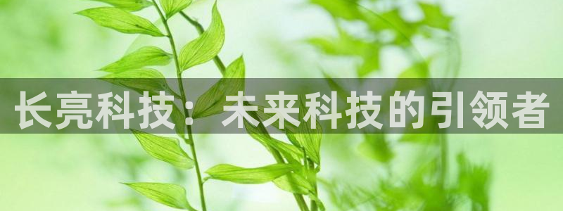 长亮科技：未来科技的引领者