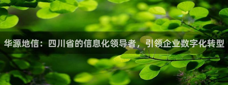 华源地信：四川省的信息化领导者，引领企业数字化转型
