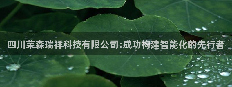 四川荣森瑞祥科技有限公司:成功构建智能化的先行者