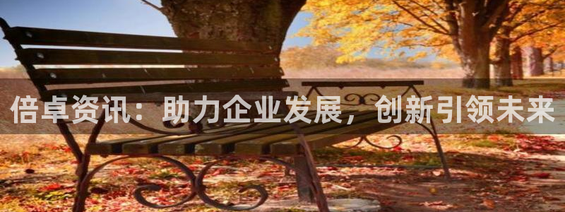 倍卓资讯：助力企业发展，创新引领未来
